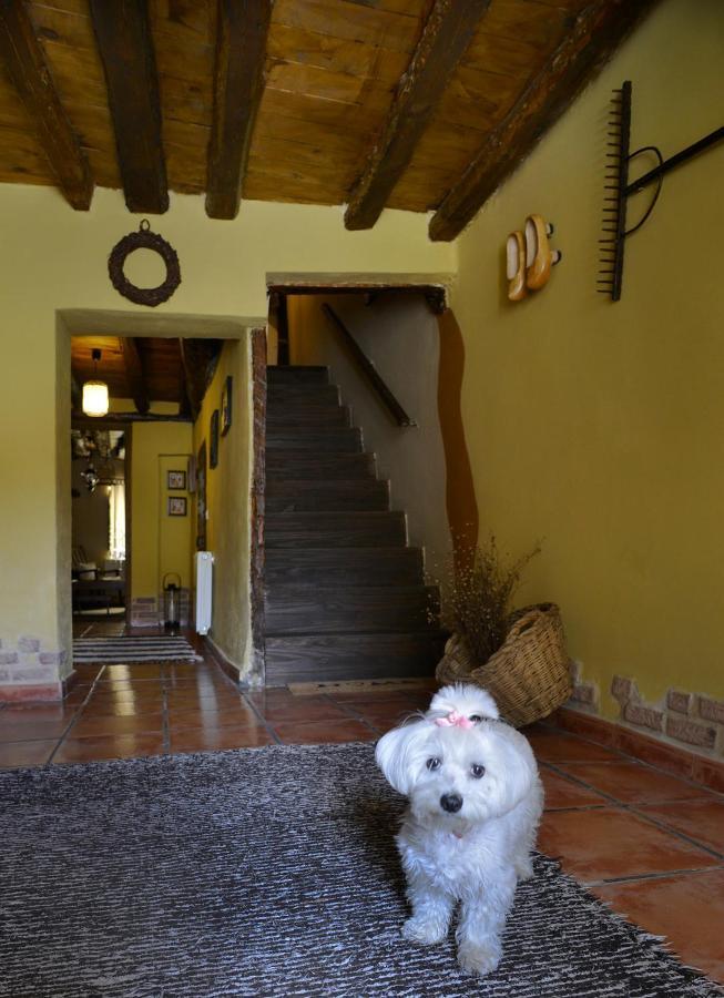 منزل الضيف Tamajon  في La Casita De Leire المظهر الخارجي الصورة