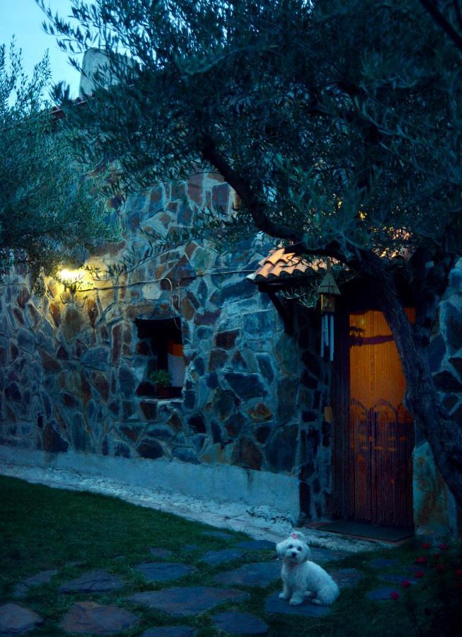 منزل الضيف Tamajon  في La Casita De Leire المظهر الخارجي الصورة